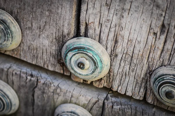 old doors close up view - knobs, design elements, architecture of the ancient doors within the streets of the spanish cities