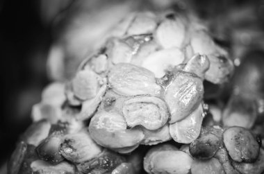 Lezzetli hamur işleri ve lezzetler karışımı