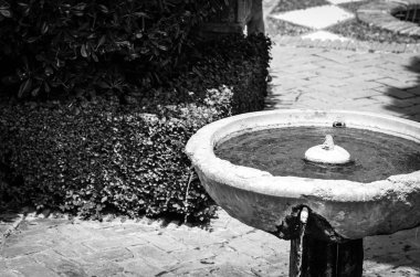 Su kaynağı doğal parkların görüntüsünü kapatır. 