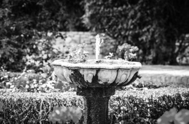 Su kaynağı doğal parkların görüntüsünü kapatır. 