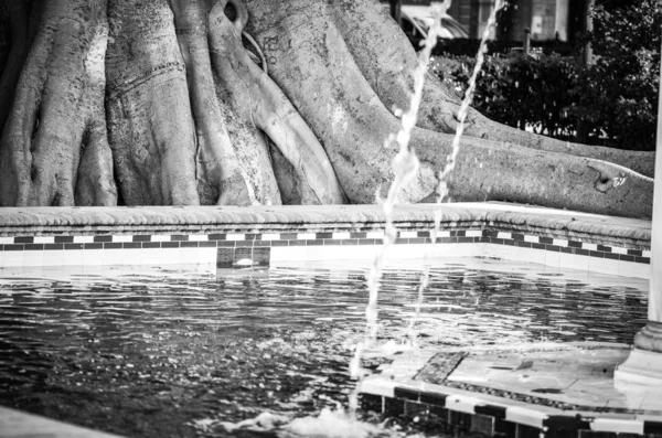 Fuente Agua Vista Cerca Dentro Los Parques Naturales — Foto de Stock