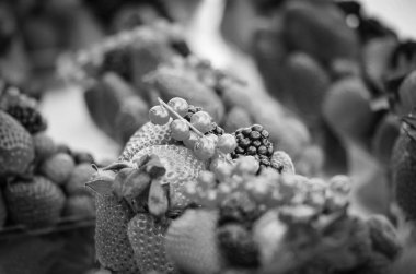 Çilek, yabanmersini, böğürtlen, böğürtlen