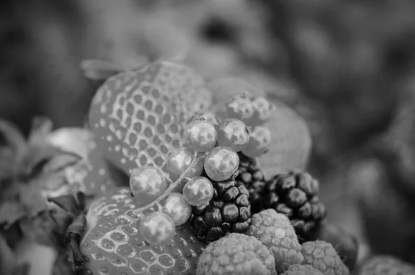红浆果 黑莓的新鲜混合水果近景 — 图库照片
