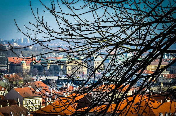 Panoramę Miasta Pragi — Zdjęcie stockowe