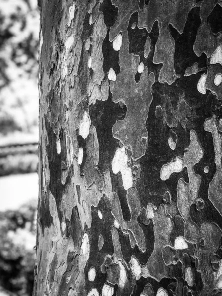 Pared Abstracta Vista Cerca Piedra Ladrillos Arquitectura Madera Las Paredes — Foto de Stock