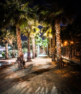 İspanyol şehirlerinin tarihi sokaklarına yakından bakın. 