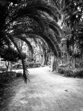 İspanyol şehirlerinin tarihi sokaklarına yakından bakın.