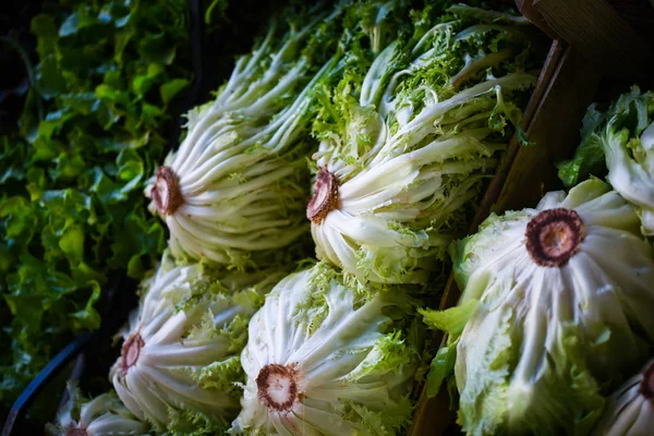 Frischer Salat Aus Nächster Nähe Auf Dem Italienischen Markt Palermo — Stockfoto