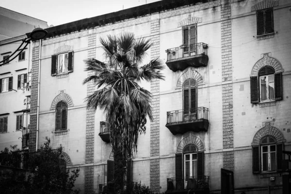 Architektonische Bauten Den Historischen Straßen Von Palermo Nahaufnahme — Stockfoto