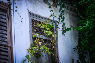 Atina 'daki tarihi Yunan binalarının pencereleri kapanıyor