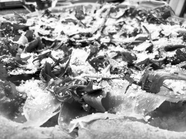 Taze malzemeli İtalyan pizzası.