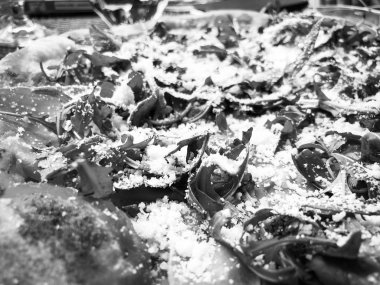 Taze malzemeli İtalyan pizzası.