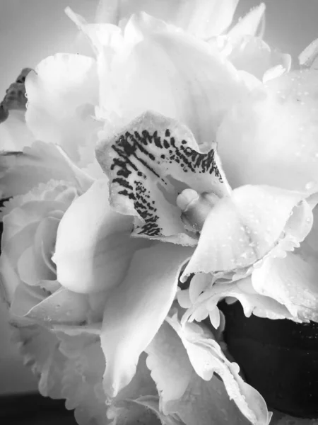 Hochzeit Blumen Nahsicht — Stockfoto