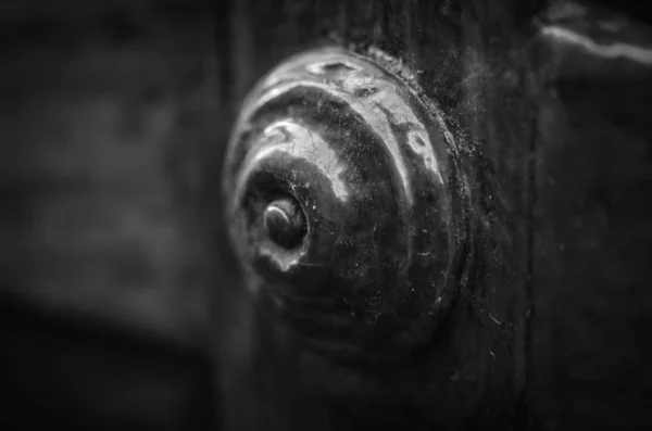 Ancient Doors Close Historical Streets Rome — Stock Photo, Image