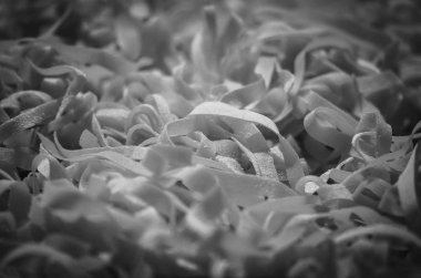 Taze İtalyan makarnası. Yakın çekim.