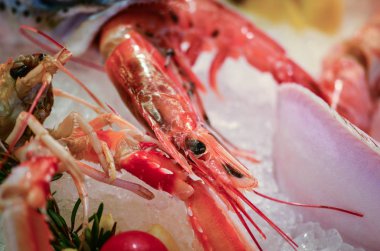 İtalyan balık pazarında taze deniz ürünleri. 