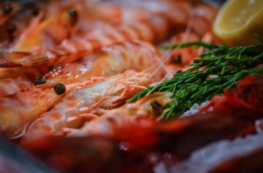 İtalyan balık pazarında taze deniz ürünleri. 