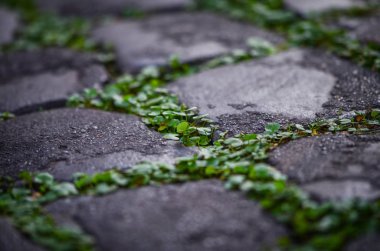 Taş & tuğlalar - duvar kağıdı tasarımı - endüstriyel ev tasarımı