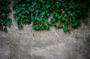 Taş & tuğlalar - duvar kağıdı tasarımı - endüstriyel ev tasarımı