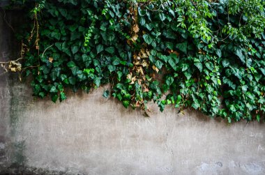 Taş & tuğlalar - duvar kağıdı tasarımı - endüstriyel ev tasarımı