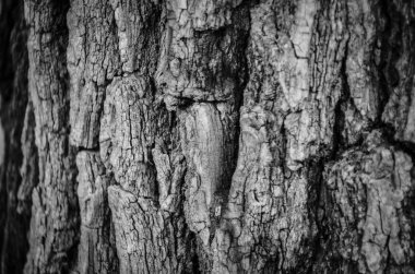 Taş & tuğlalar - duvar kağıdı tasarımı - endüstriyel ev tasarımı