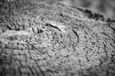 Taş & tuğlalar - duvar kağıdı tasarımı - endüstriyel ev tasarımı