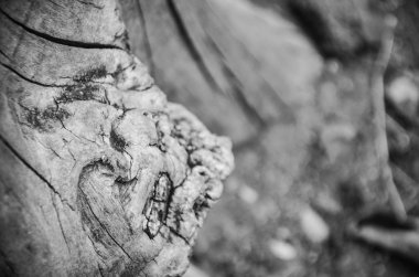 Taş & tuğlalar - duvar kağıdı tasarımı - endüstriyel ev tasarımı