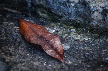 Taş & tuğlalar - duvar kağıdı tasarımı - endüstriyel ev tasarımı