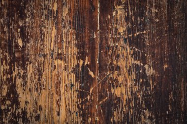 Taş & tuğlalar - duvar kağıdı tasarımı - endüstriyel ev tasarımı