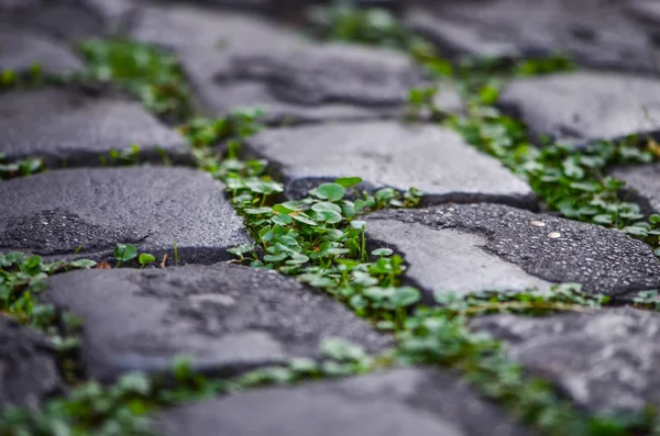 stone & bricks wall close up - wallpaper design - industrial home design