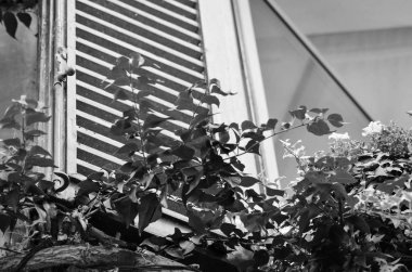 Roma 'nın tarihi sokaklarına yakından bakın.