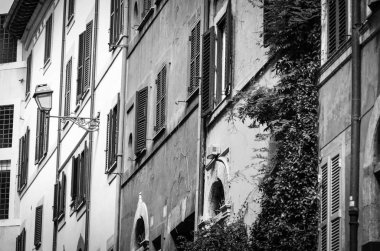 Roma 'nın tarihi sokaklarına yakından bakın.