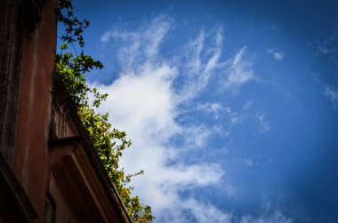 Roma 'nın tarihi sokaklarına yakından bakın.