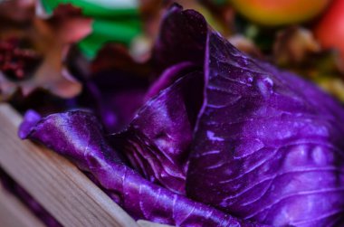 Taze marulu karıştır. Yakından bak. 