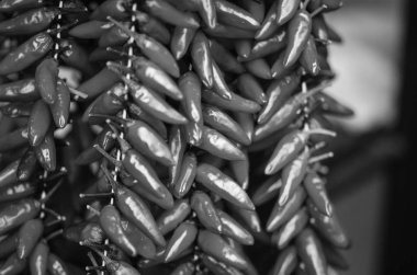 taze sebzeler - biber yerel İtalyan pazarında yakın görüş