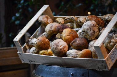 İtalya yerel pazarında taze mantarlar kapanıyor