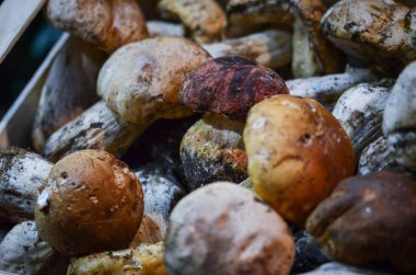 İtalya yerel pazarında taze mantarlar kapanıyor