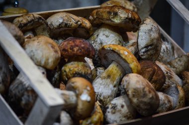 İtalya yerel pazarında taze mantarlar kapanıyor