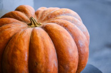 Taze balkabağı yakın görüntüsü 