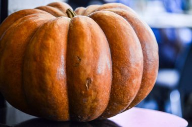 Taze balkabağı yakın görüntüsü 