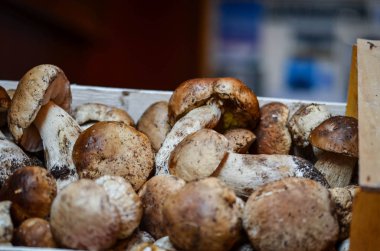 İtalya yerel pazarında taze mantarlar kapanıyor