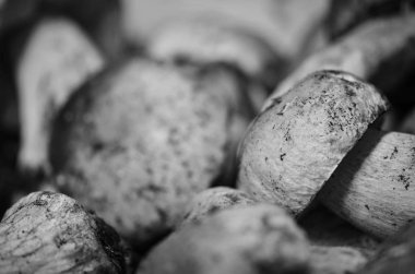 İtalya yerel pazarında taze mantarlar kapanıyor