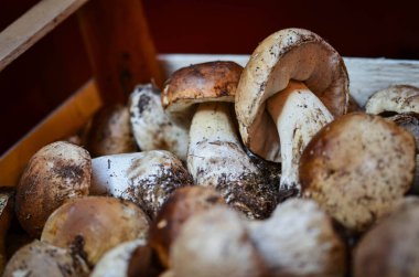 İtalya yerel pazarında taze mantarlar kapanıyor