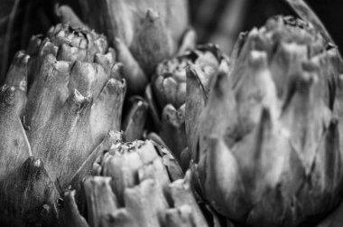 Taze enginar sebzesi. Yakın görüş.