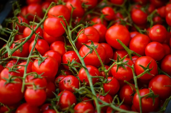 Pomodori Freschi Vista Vicino All Interno Del Mercato Locale Italiano — Foto Stock