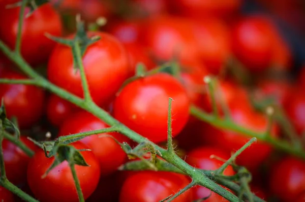 Färska Tomater Närbild Den Lokala Italienska Marknaden — Stockfoto