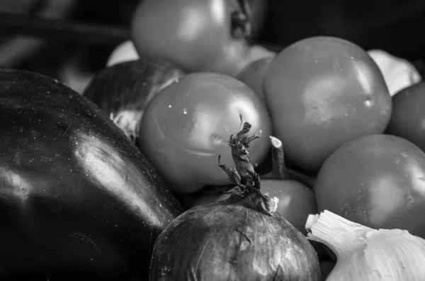 Tomates Frescos Vista Perto Dentro Mercado Italiano Local — Fotografia de Stock