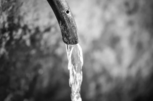 water source close up view