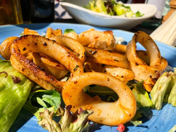 Calamar Parrilla Con Una Mezcla Lechuga Fresca —  Fotos de Stock