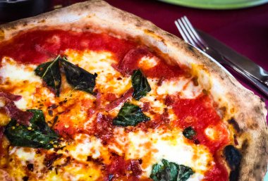 Lezzetli İtalyan bufalo pizzası ve taze fesleğen